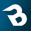 Blue IT ApS logo