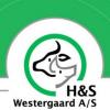 H & S WESTERGAARD A/S logo