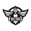 Falcons Esport ApS logo