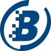 BLUE LINE A/S logo
