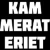 Kammerateriet Holding ApS logo