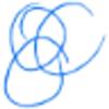 Soft Executive Consultancy ApS logo