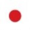 Palatium Books ApS logo