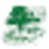 HOLM'S ANLÆGSGARTNERI ApS logo