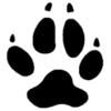 Qimmiq ApS logo