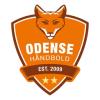 HC ODENSE TALENTCENTER ApS logo