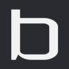 BRANDWEB IVS logo
