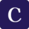 COPENHAGEN EXECUTIVE A/S logo