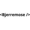 Bjerremose Holding IVS logo