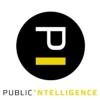 PUBLIC INTELLIGENCE ApS logo