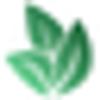 Kirsten Petersen logo