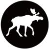 Pulito ApS logo