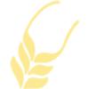 CR FODERSERVICE K/S logo