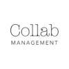 Collab Cartel ApS logo
